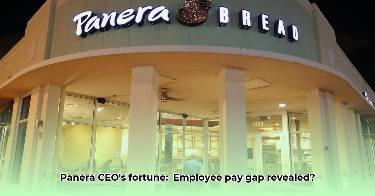 niren-chaudhary-net-worth